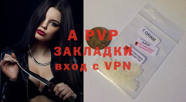 круглые Карпинск