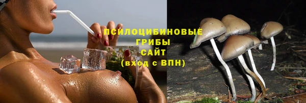 apvp Касимов