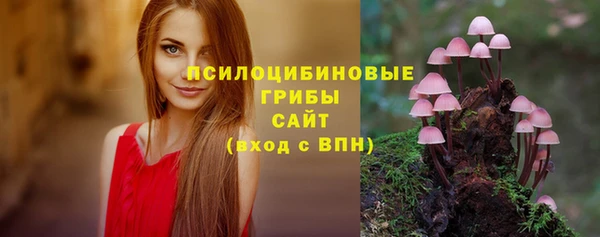 круглые Карпинск