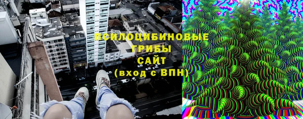 круглые Карпинск