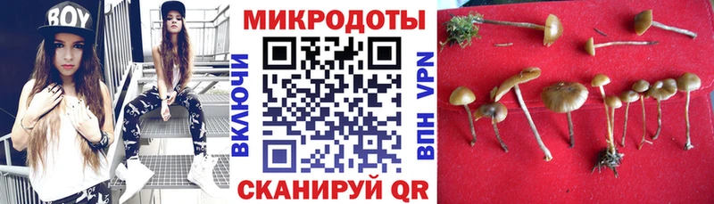 Псилоцибиновые грибы Magic Shrooms  kraken ССЫЛКА  Лодейное Поле 