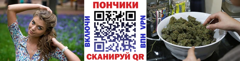 Бошки марихуана марихуана Лодейное Поле